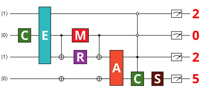 CEMRACS 2025